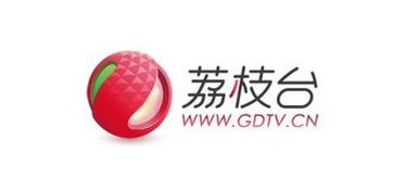 广东广播电视台的电视频道