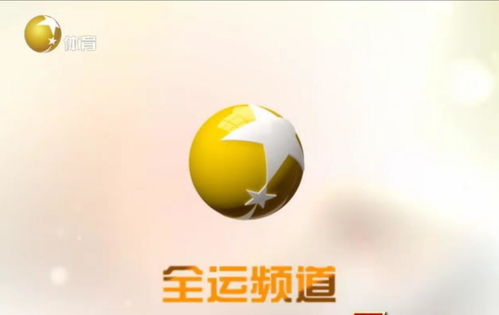 辽宁电视台全运频道