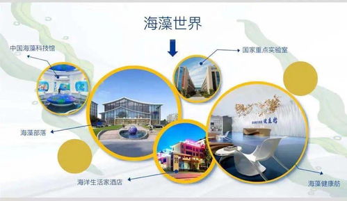 经略海洋 逐梦深蓝 全省十六地市广播电台和山东省房车露营与自驾旅游协会各地市分会赴青岛西海岸新区采风 踩线活动成功举办