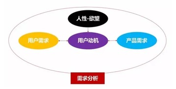 广电新媒体 集中力量 重点突破